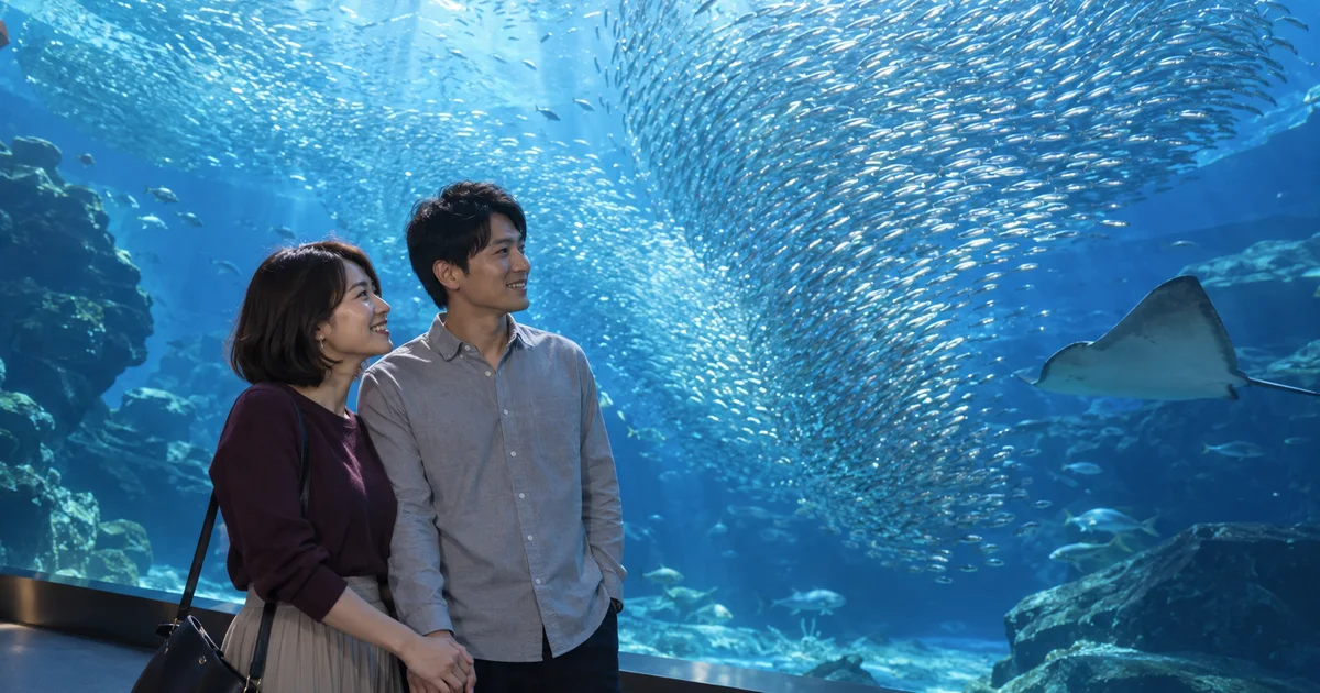 仙台うみの杜水族館で大水槽を眺めるふたりのAIイメージ