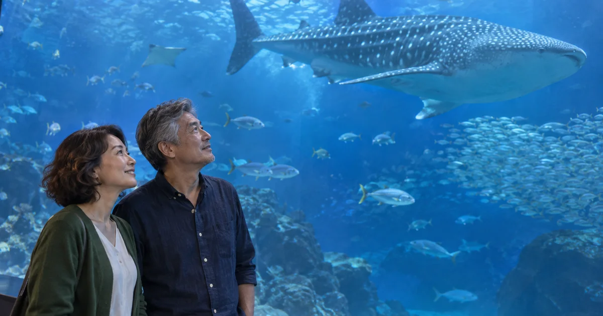 海遊館でデートを楽しむふたりをイメージしたAI画像