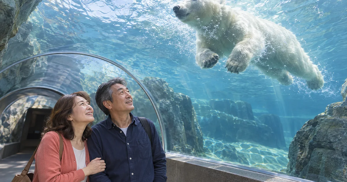 札幌市円山動物園でデートを楽しむふたりをイメージしたAI画像